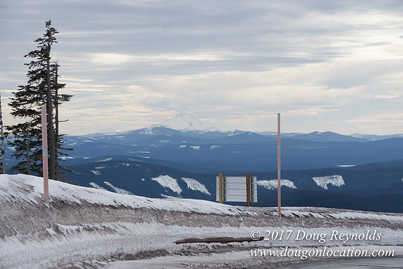 Timberline Rd Snow