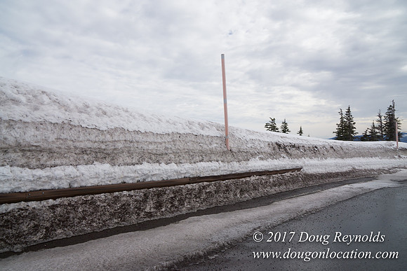 Timberline Rd Snow