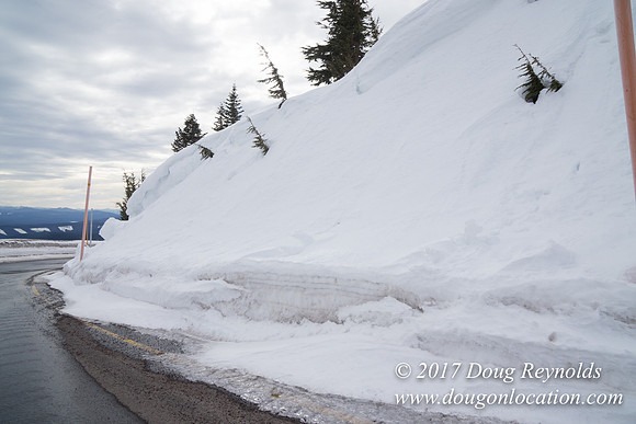 Timberline Rd Snow