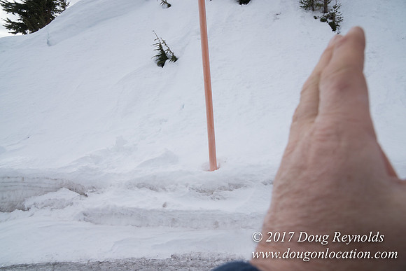 Timberline Rd Snow