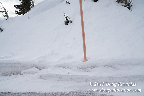 Timberline Rd Snow
