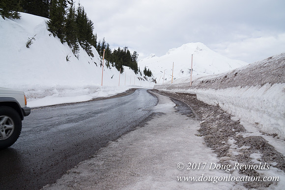 Timberline Rd Snow