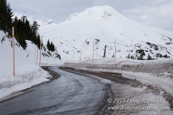 Timberline Rd Snow