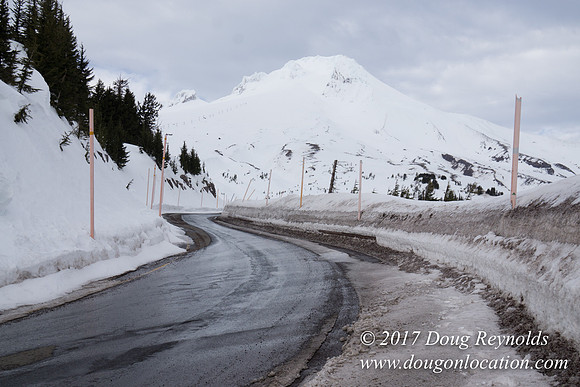 Timberline Rd Snow