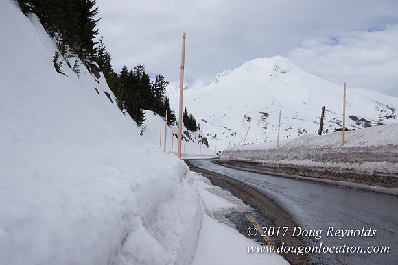 Timberline Rd Snow