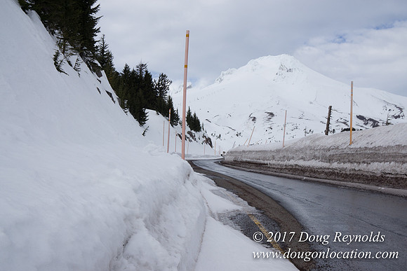 Timberline Rd Snow