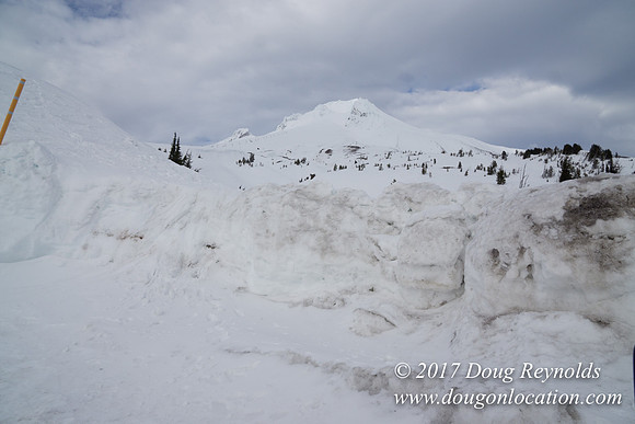 Timberline Rd Snow