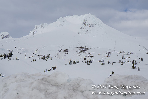 Timberline Rd Snow