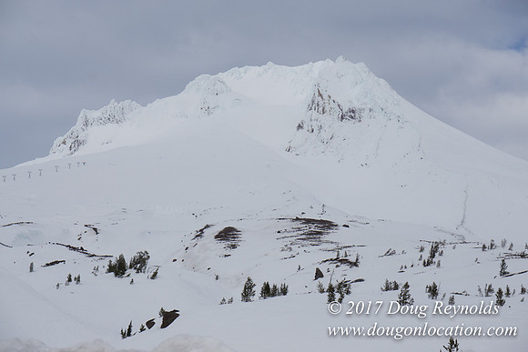 Timberline Rd Snow