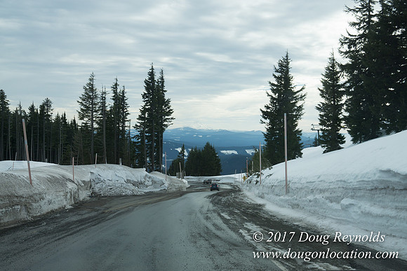 Timberline Rd Snow