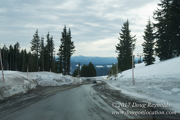 Timberline Rd Snow