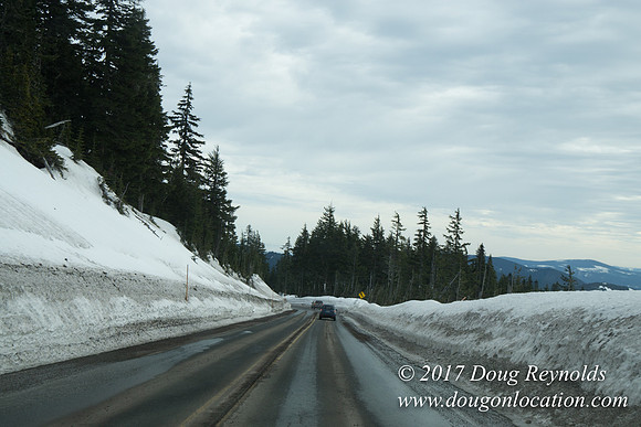 Timberline Rd Snow