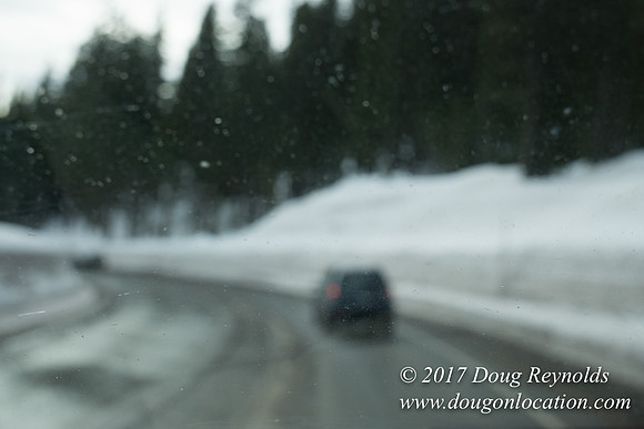 Timberline Rd Snow