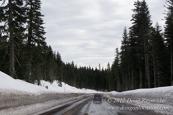 Timberline Rd Snow
