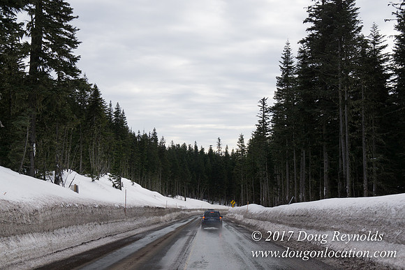 Timberline Rd Snow