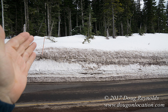 Timberline Rd Snow
