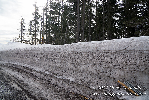 Timberline Rd Snow