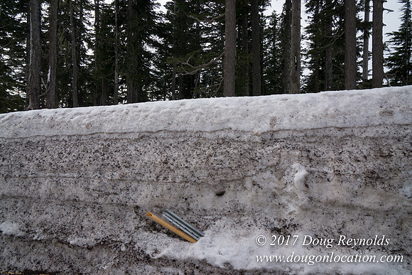 Timberline Rd Snow