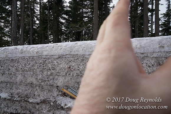 Timberline Rd Snow