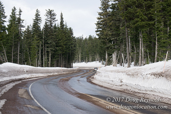 Timberline Rd Snow