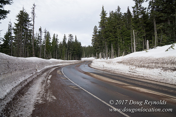 Timberline Rd Snow