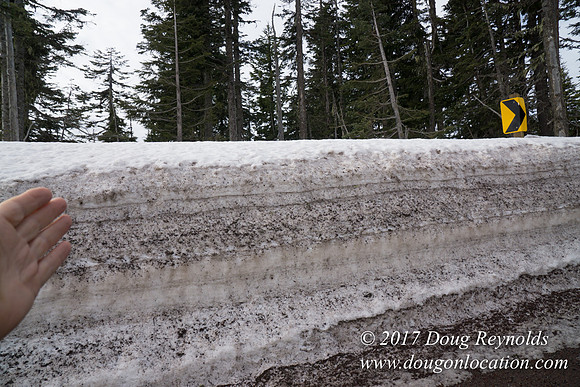 Timberline Rd Snow