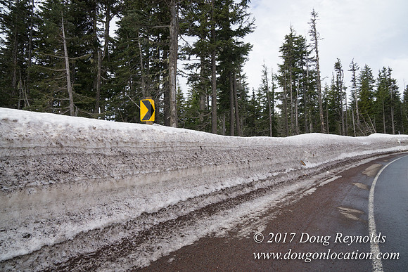 Timberline Rd Snow