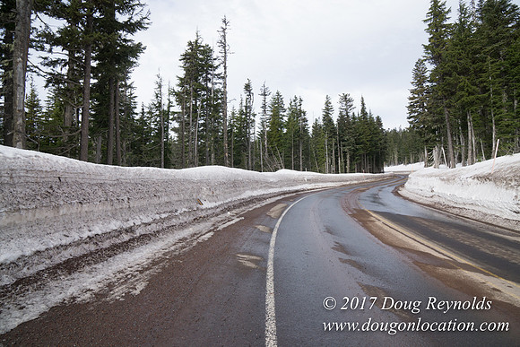 Timberline Rd Snow