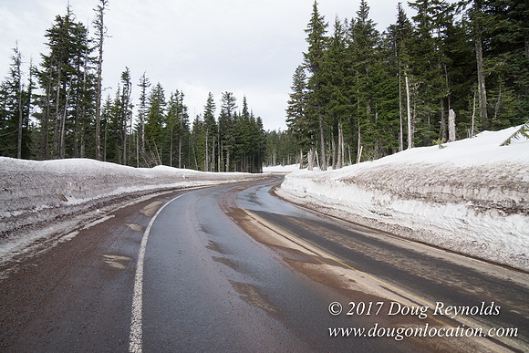 Timberline Rd Snow