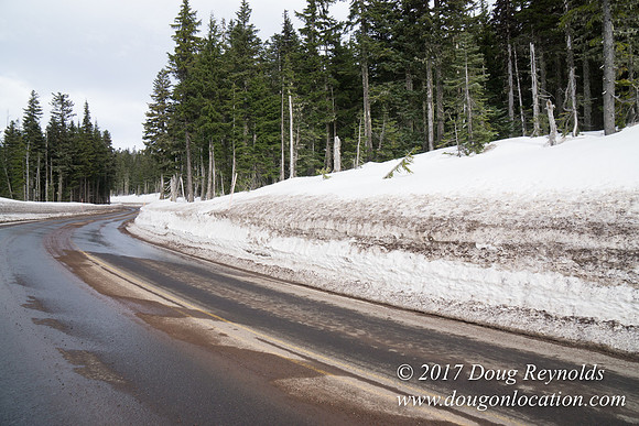Timberline Rd Snow