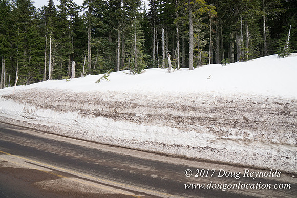 Timberline Rd Snow