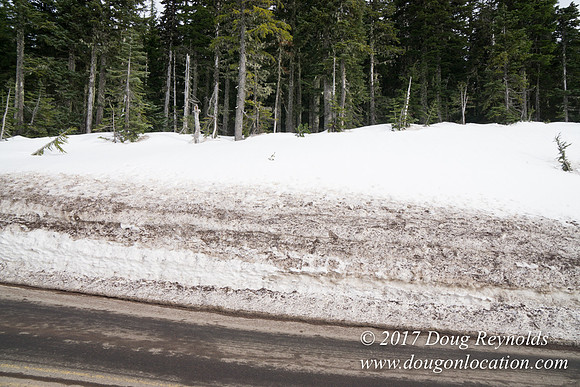 Timberline Rd Snow