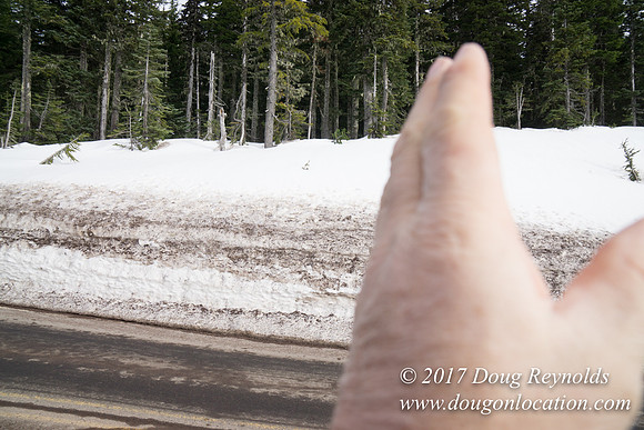 Timberline Rd Snow
