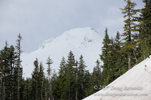 Timberline Rd Snow