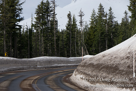 Timberline Rd Snow