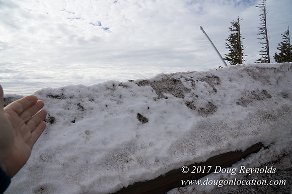 Timberline Rd Snow