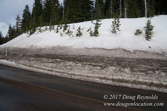 Timberline Rd Snow