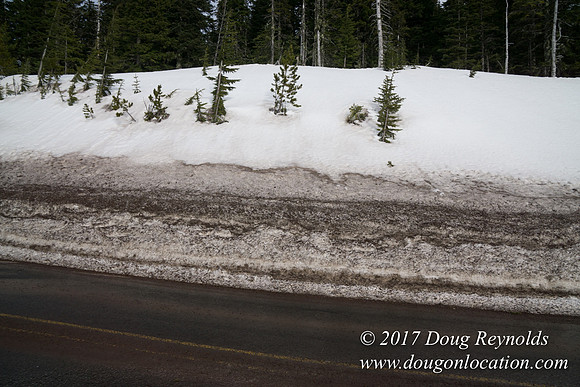 Timberline Rd Snow