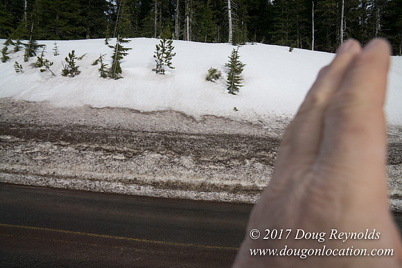 Timberline Rd Snow