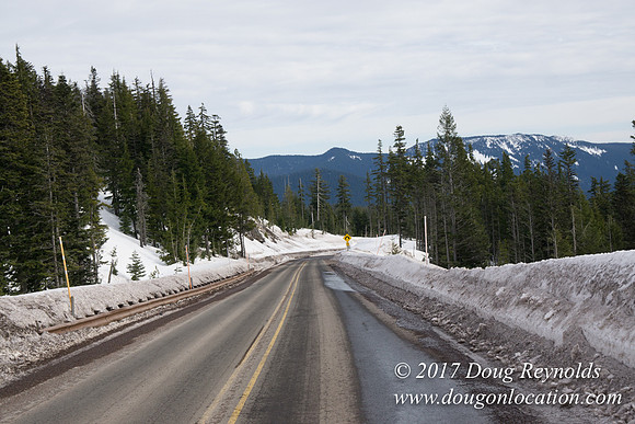 Timberline Rd Snow