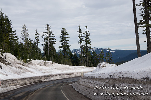 Timberline Rd Snow