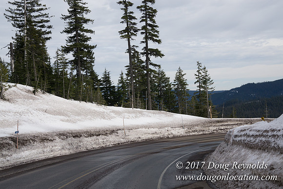 Timberline Rd Snow