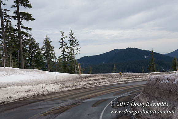 Timberline Rd Snow
