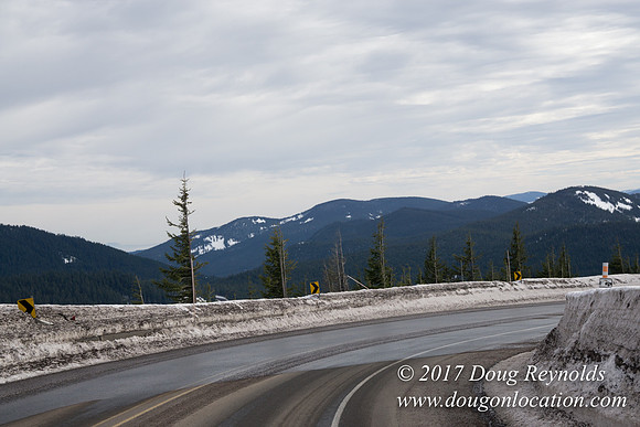 Timberline Rd Snow