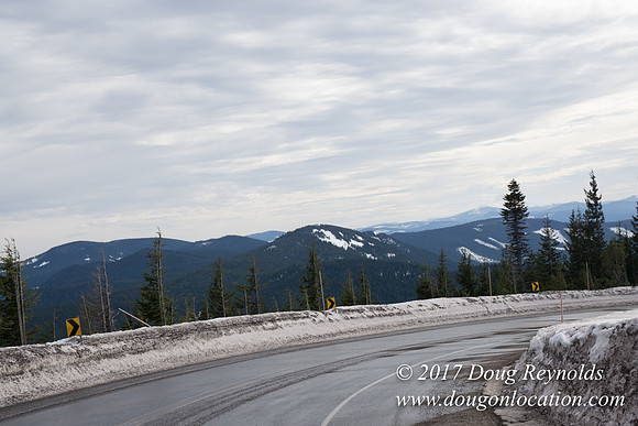 Timberline Rd Snow