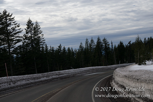 Timberline Rd Snow