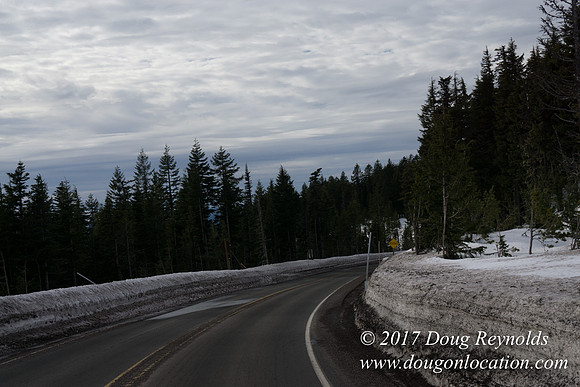 Timberline Rd Snow