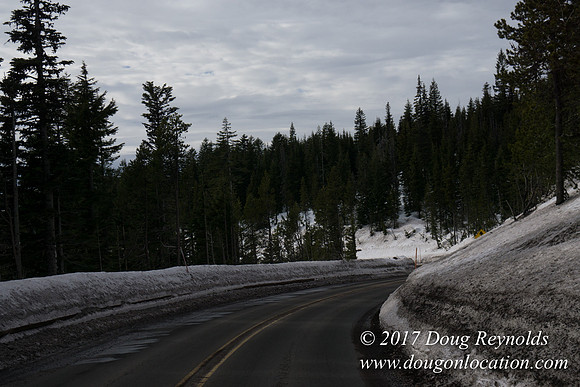 Timberline Rd Snow