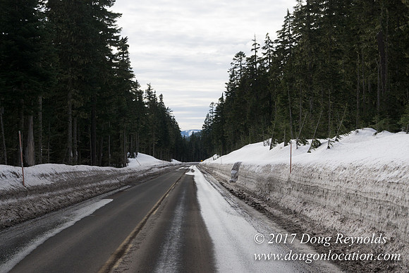 Timberline Rd Snow