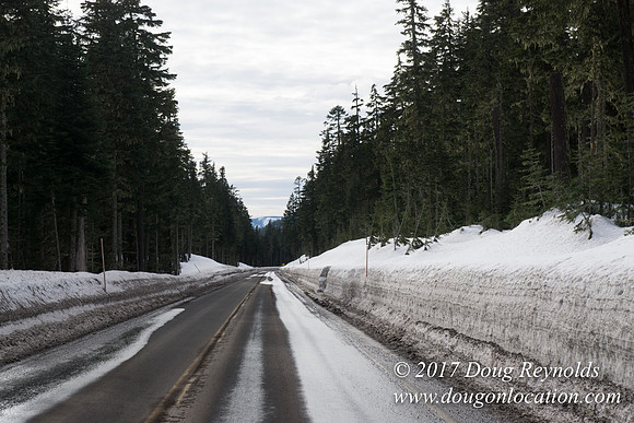 Timberline Rd Snow